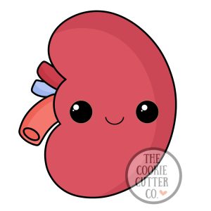 Kidney cookie cutter