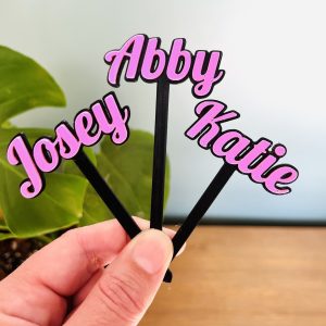 Customisable Cupcake Name Toppers