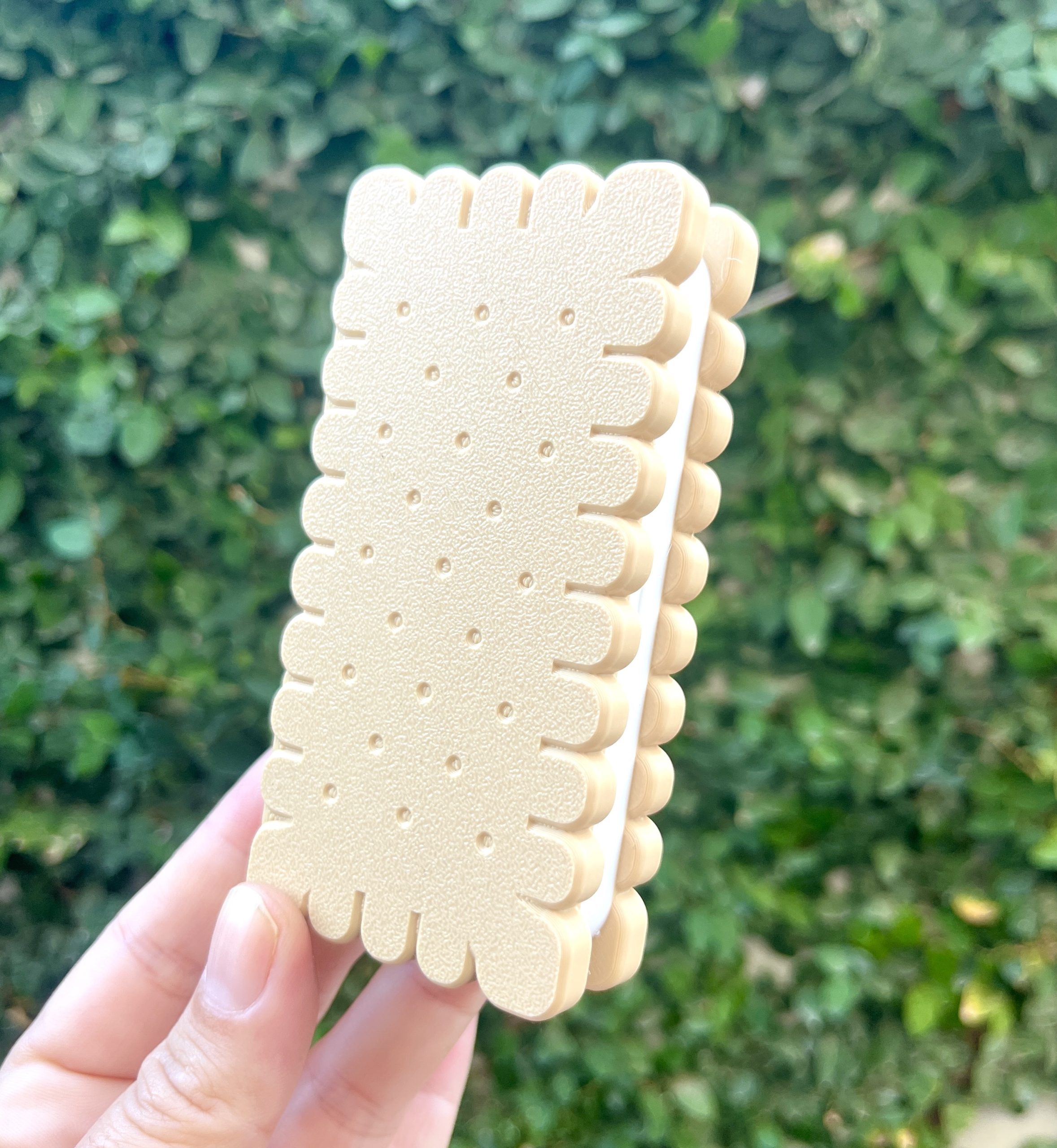 10.5cm Biscuit Secret Stash Container
